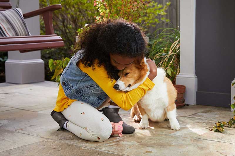 boy hugging dog
